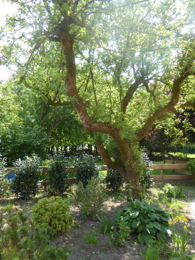 Ferienwohnung Elise Im Gulfhof Am Kanal Grossefehn المظهر الخارجي الصورة